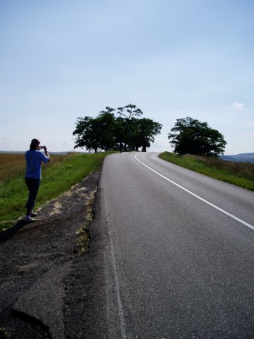 Fotografie